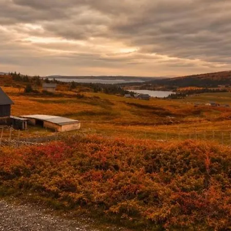 Nyt Hosten Pa Toppen Av Hafjell *