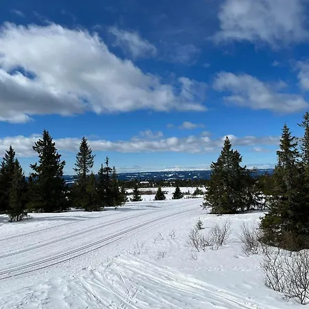 Nyt Hosten Pa Toppen Av Hafjell 公寓 *