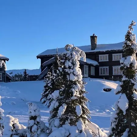 Nyt Hosten Pa Toppen Av Hafjell *