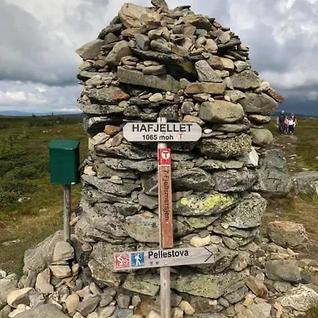 Nyt Hosten Pa Toppen Av Hafjell Øyer