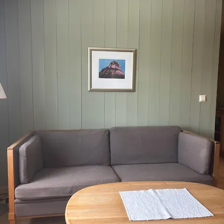 Nyt Hosten Pa Toppen Av Hafjell *