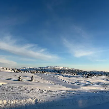Nyt Hosten Pa Toppen Av Hafjell