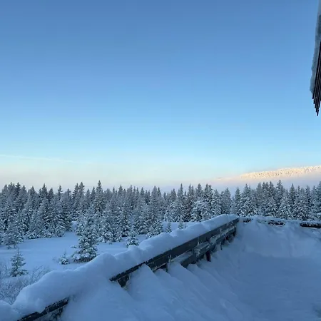 Nyt Hosten Pa Toppen Av Hafjell *